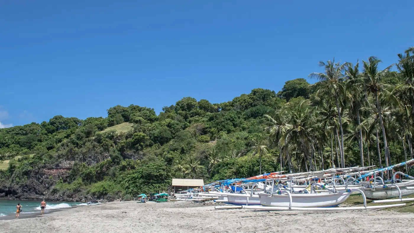 Illustrative photo of traditional boats on a beach backed by palm trees