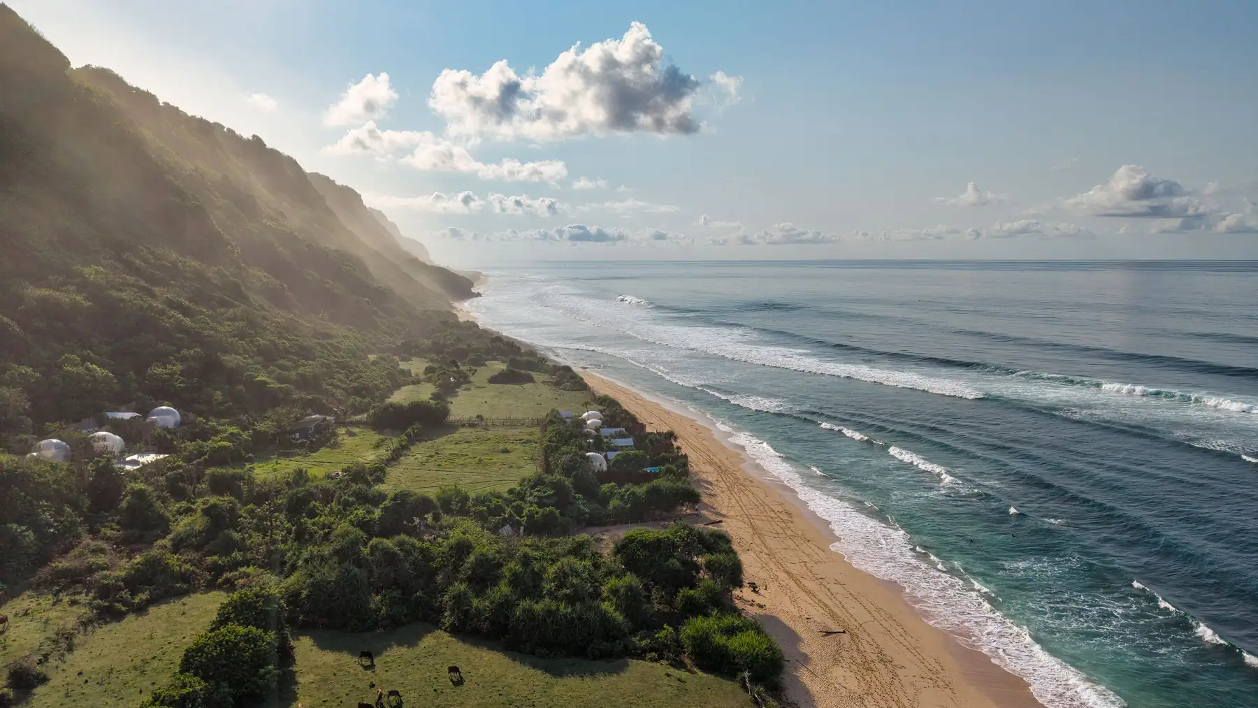 Illustrative aerial photo of a green coastline at sunrise