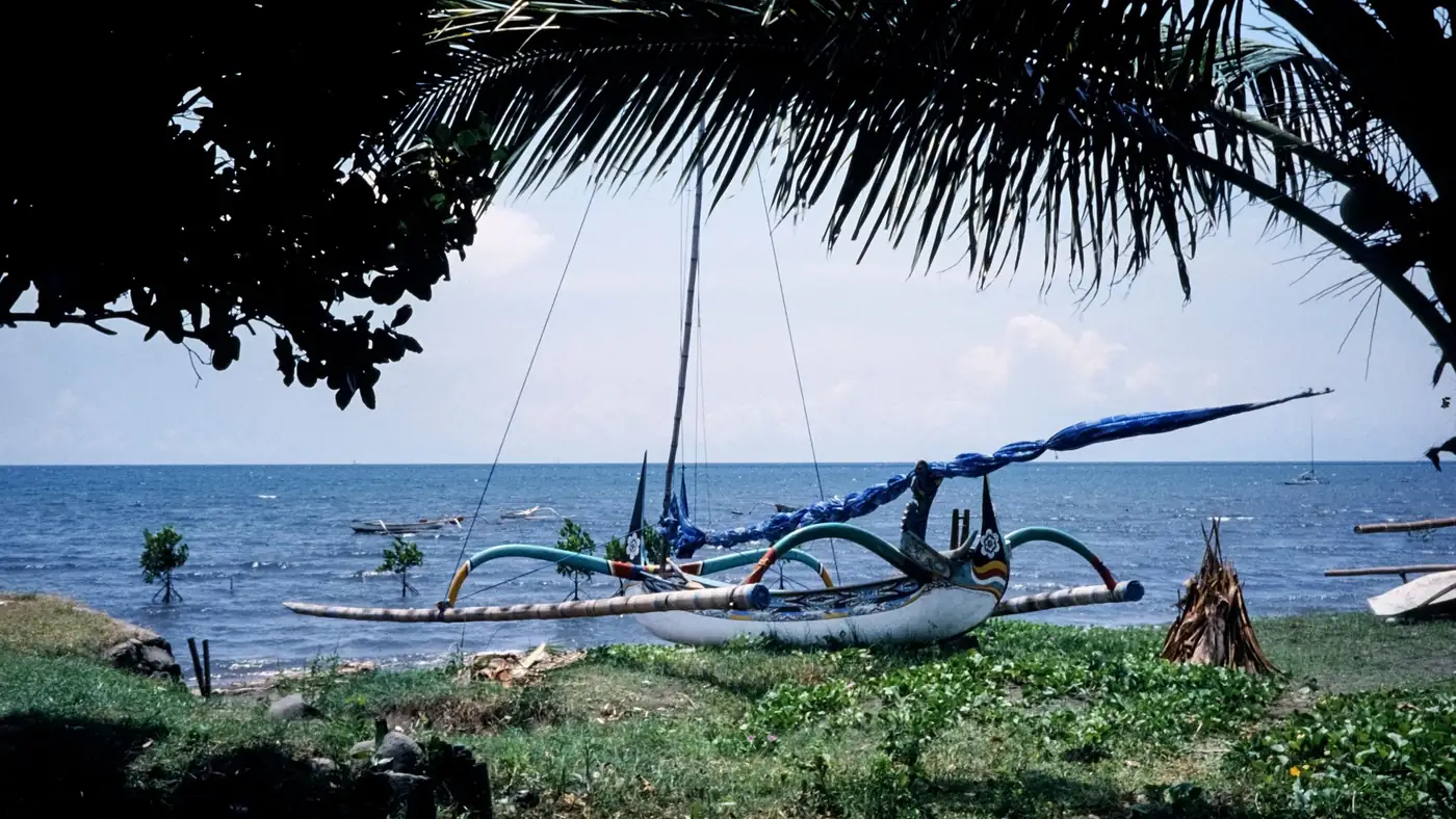 Illustrative photo: a traditional canoe on the shore under palm trees