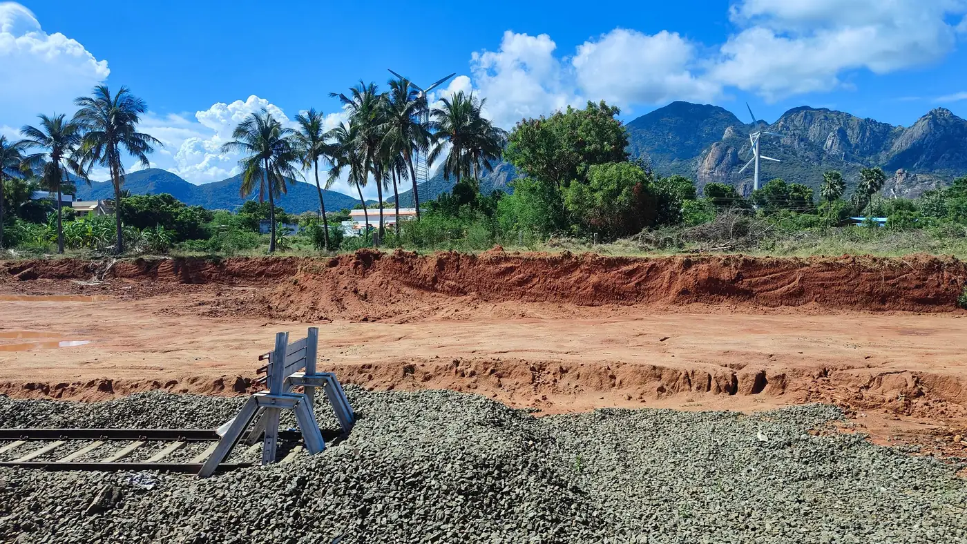Illustrative photo: cleared land with palm trees and hills