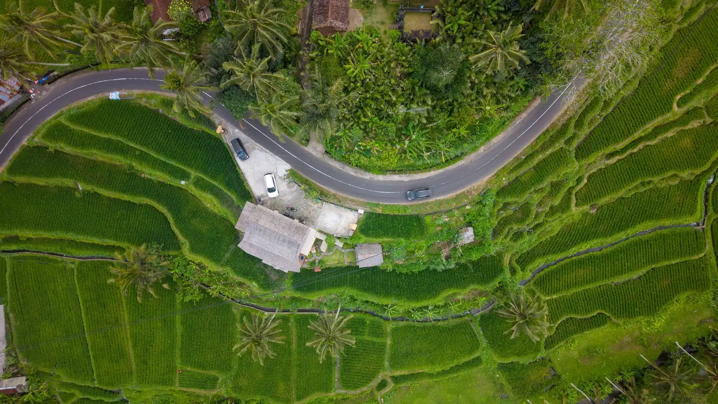 Illustrative photo: a winding road between rice terraces