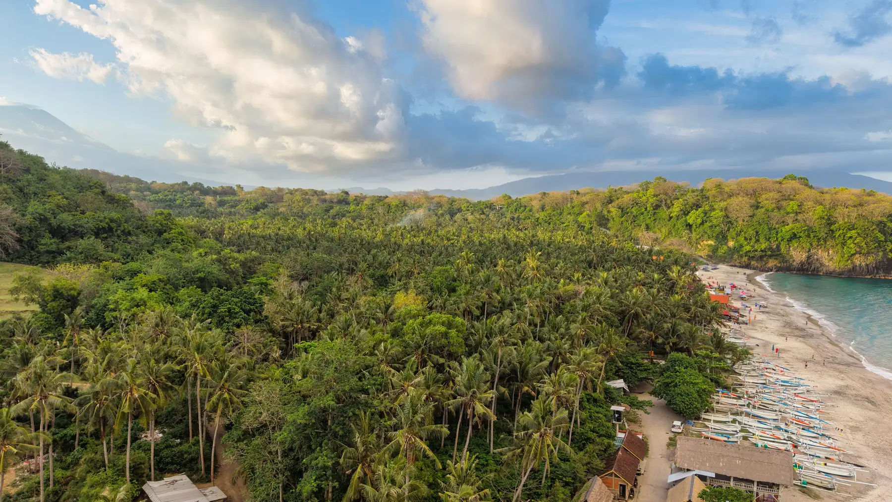 Illustrative aerial photo of a palm-lined coast in Bali