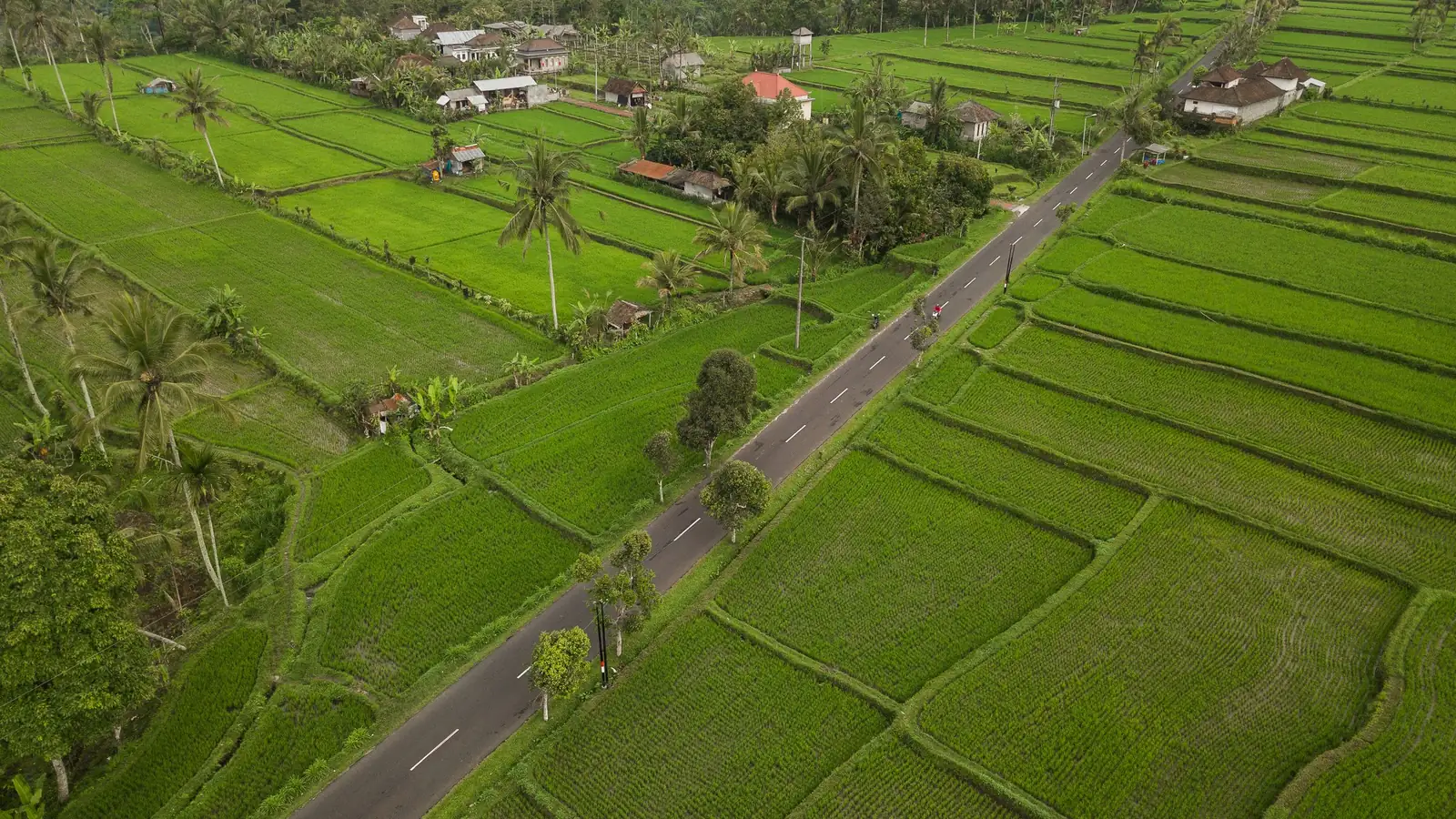 Illustrative aerial photo of a road running between green fields